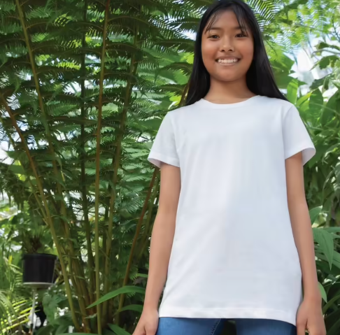 Screenshot 2025-11-30 203634.png (Copy)