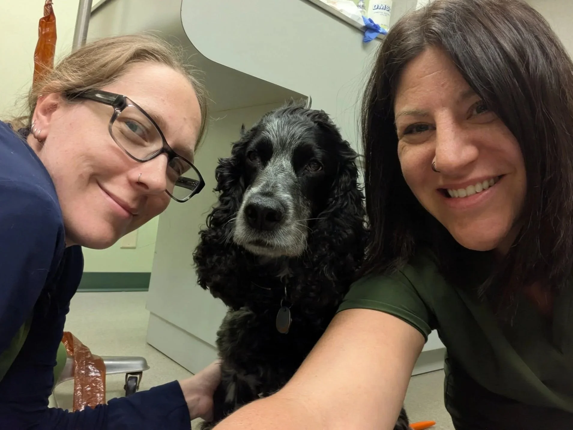 Two women and a black and white dog taking a selfie in a veterinary clinic or animal hospital.