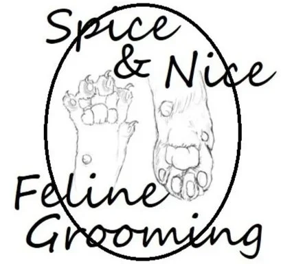 Spice and Nice Feline Grooming