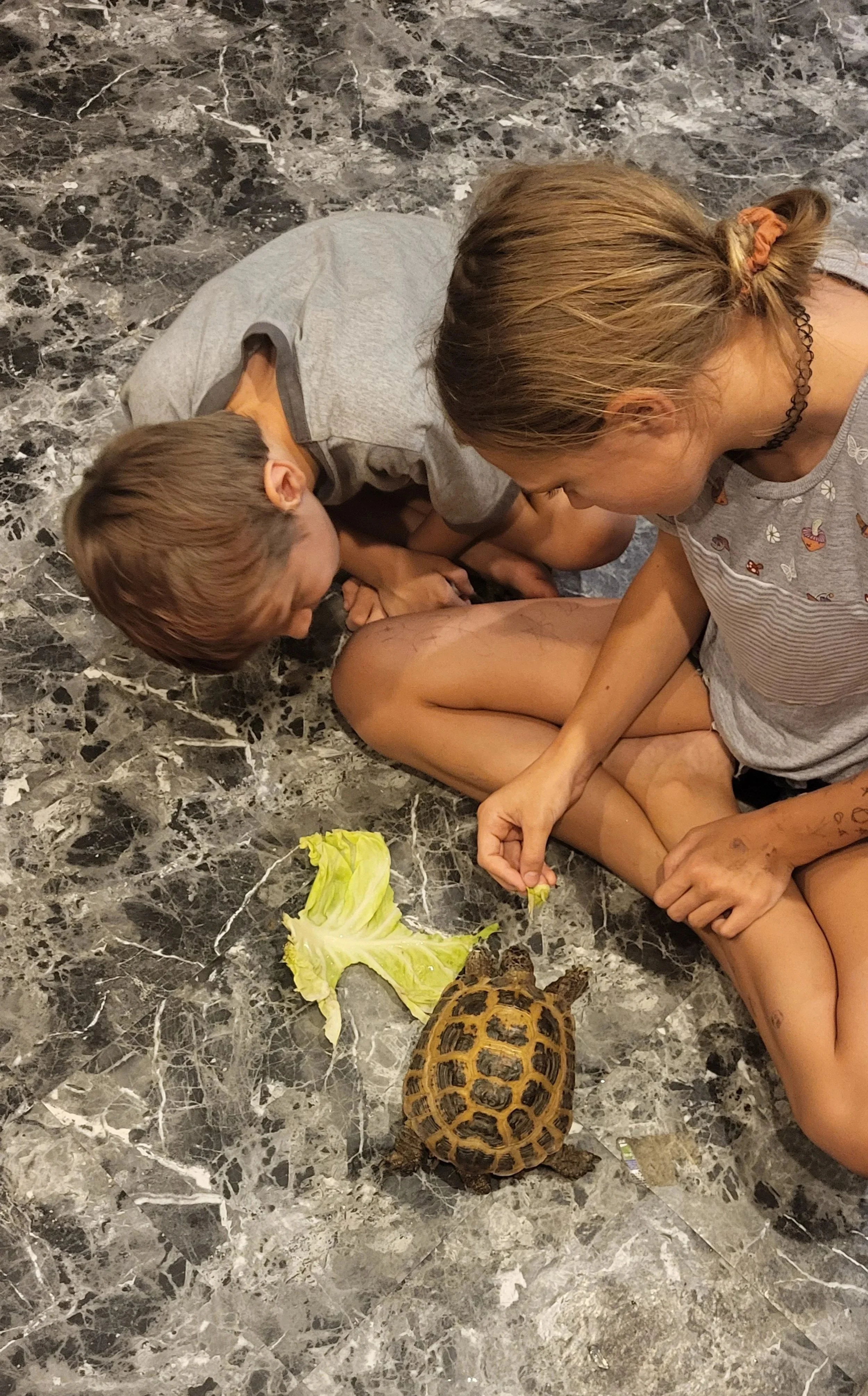 Two children and an adult sitting on a marble floor, observing a turtle eating lettuce.