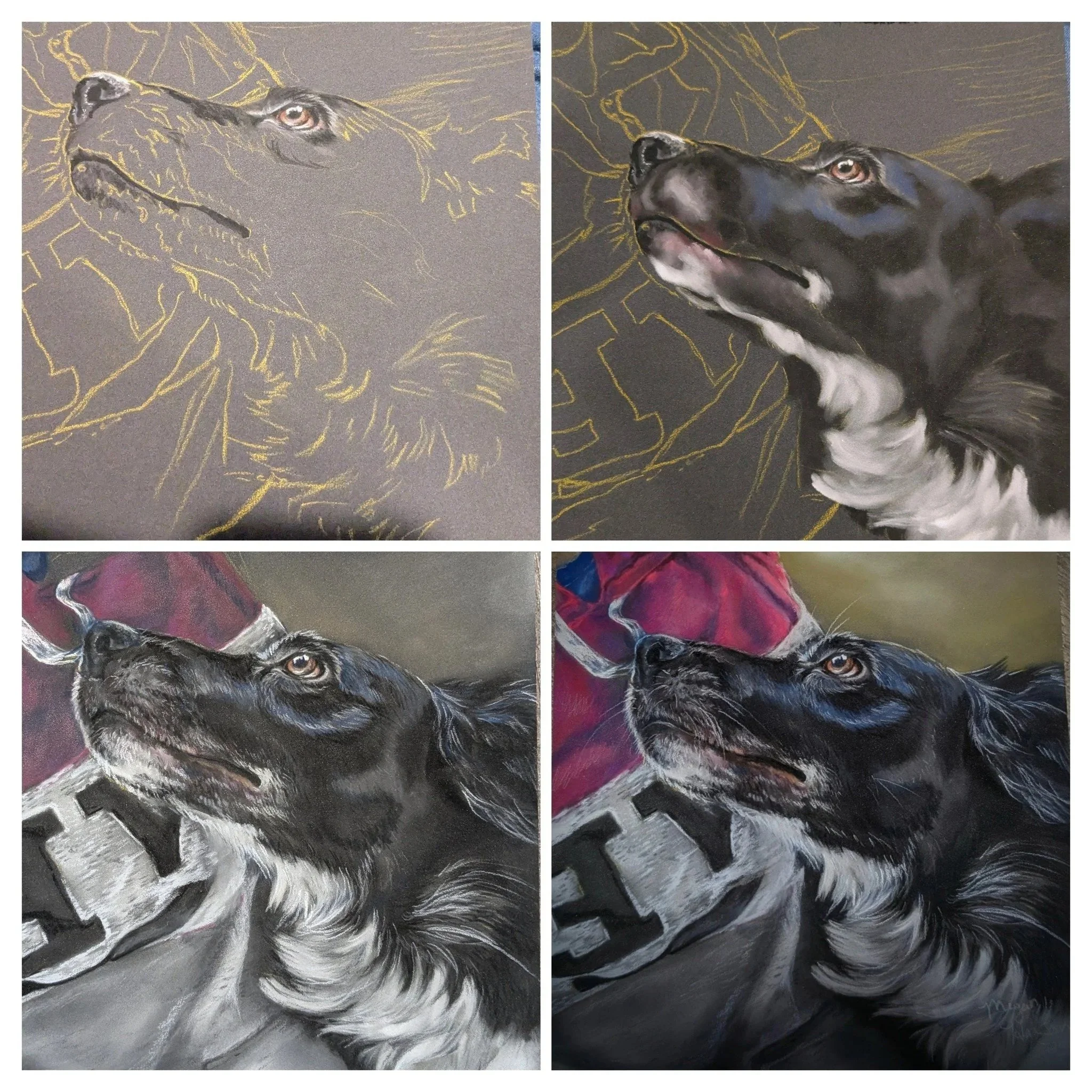 Progression of a painting of a black and white dog, showing initial sketch, mid-stage, and completed artwork.