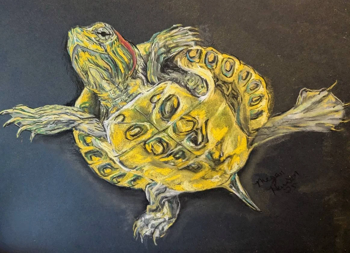 A colorful drawing of a baby turtle with yellow and green markings on its shell, on a dark background.