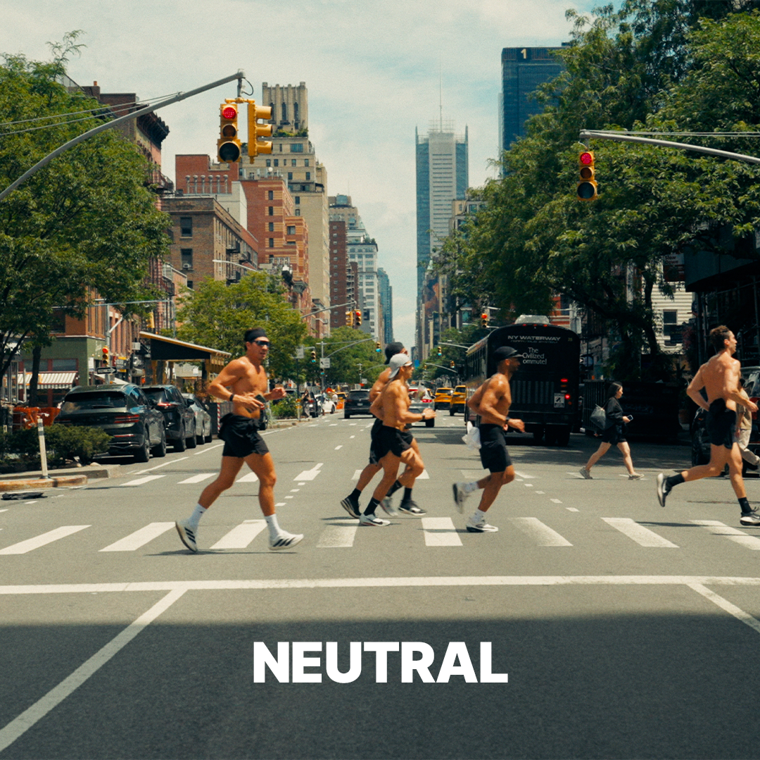 NEUTRAL.png