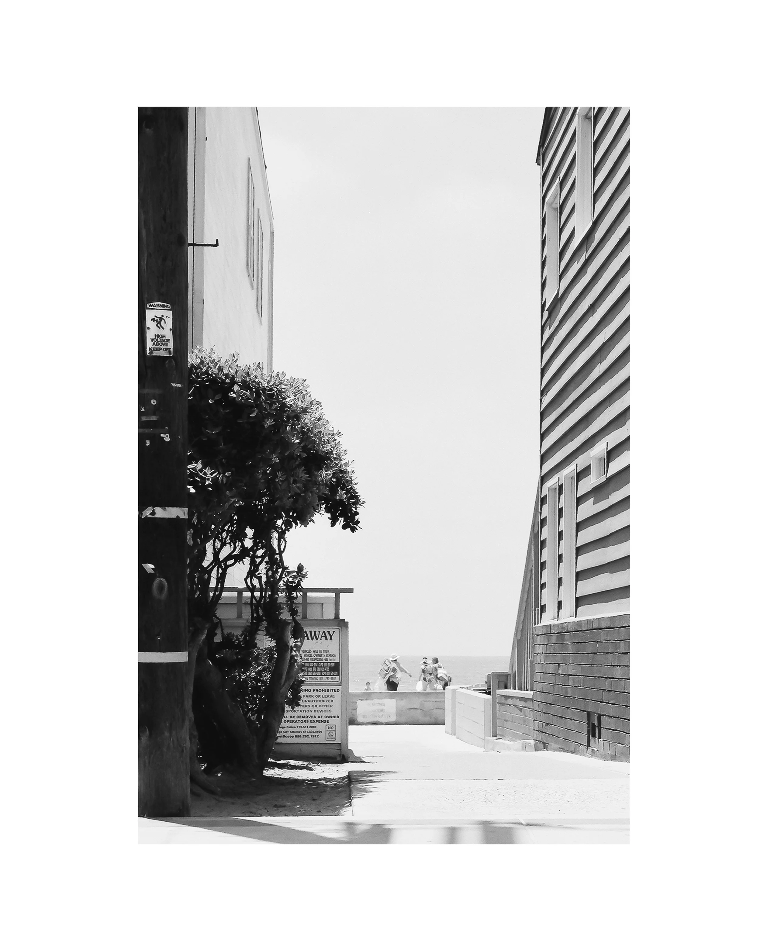 Print No. 13