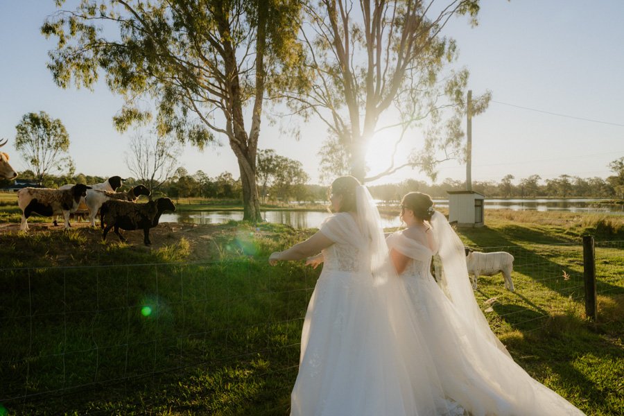 AngelaBrushePhotography_WEDDING_Z&M_010626_SNEAKPEEKS-81.jpg