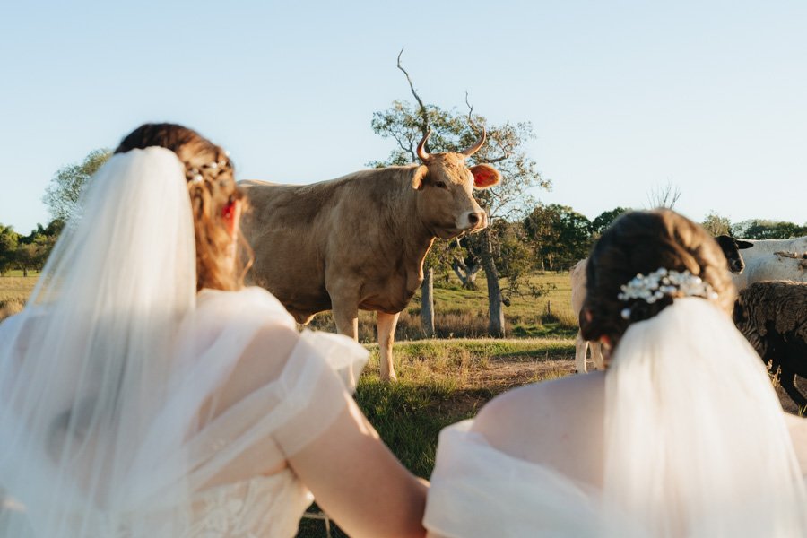 AngelaBrushePhotography_WEDDING_Z&M_010626_SNEAKPEEKS-82.jpg