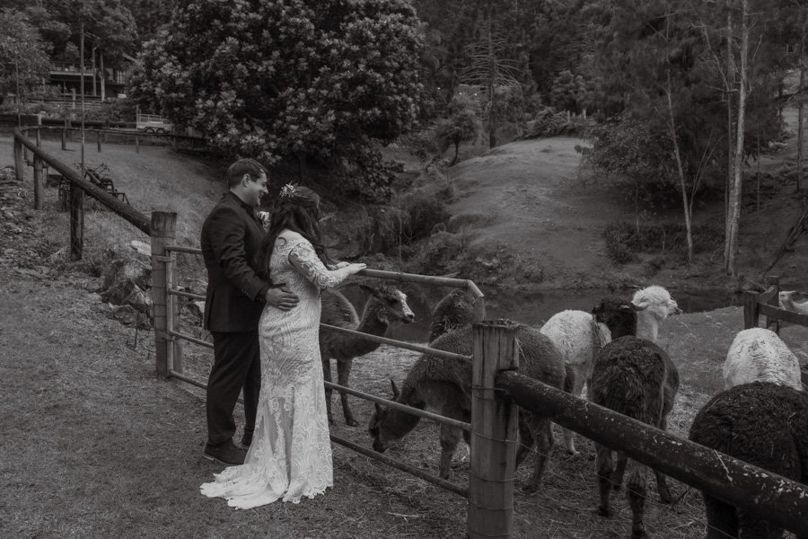 AngelaBrushePhotography_WEDDING_H&J_120626_SNEAKPEEKS-105.jpg