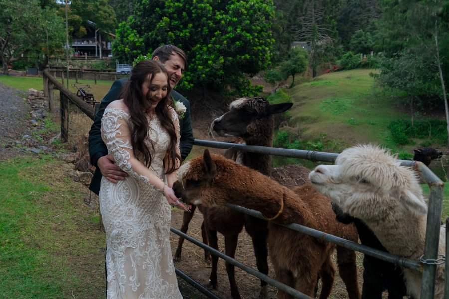 AngelaBrushePhotography_WEDDING_H&J_120626_SNEAKPEEKS-107.jpg