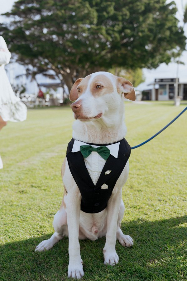 AngelaBrushePhotography_WEDDING_250626_J&S_SNEAKPEEKS-51.jpg