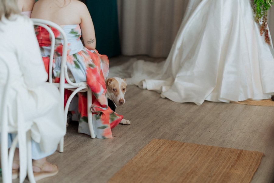 AngelaBrushePhotography_WEDDING_250626_J&S_SNEAKPEEKS-67.jpg