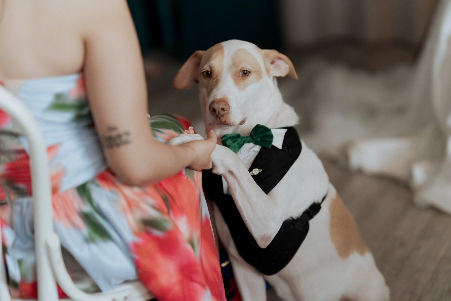 AngelaBrushePhotography_WEDDING_250626_J&S_SNEAKPEEKS-70.jpg