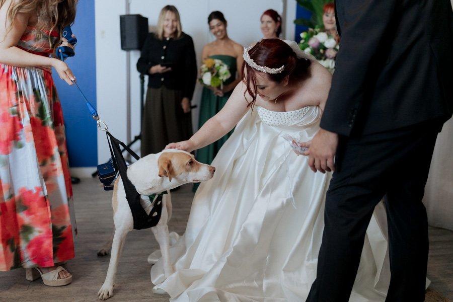 AngelaBrushePhotography_WEDDING_250626_J&S_SNEAKPEEKS-77.jpg