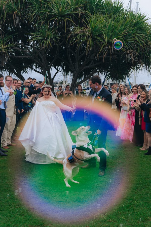 AngelaBrushePhotography_WEDDING_250626_J&S_SNEAKPEEKS-89.jpg