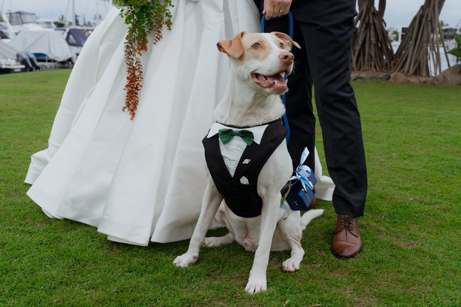 AngelaBrushePhotography_WEDDING_250626_J&S_SNEAKPEEKS-96.jpg