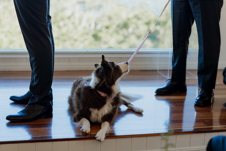 AngelaBrushePhotography_WEDDING_260726_R&J_SNEAKPEEKS-44.jpg
