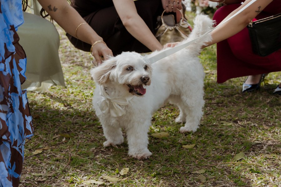 AngelaBrushePhotography_WEDDING_B&S_290826_SNEAKPEEKS-59.jpg