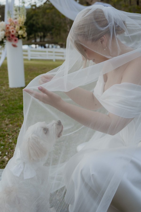 AngelaBrushePhotography_WEDDING_B&S_290826_SNEAKPEEKS-127.jpg