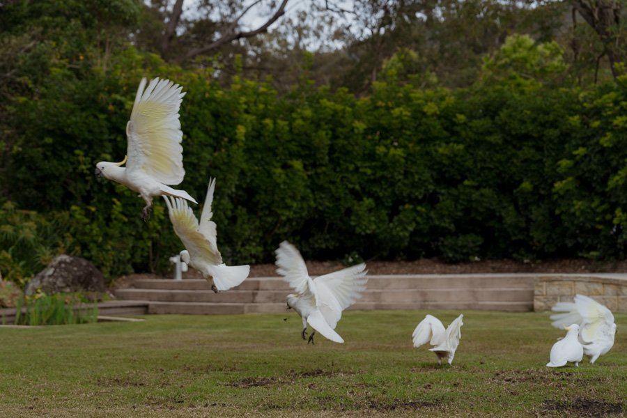 AngelaBrushePhotography_WEDDING_J&D_310826_SNEAKPEEKS-29.jpg