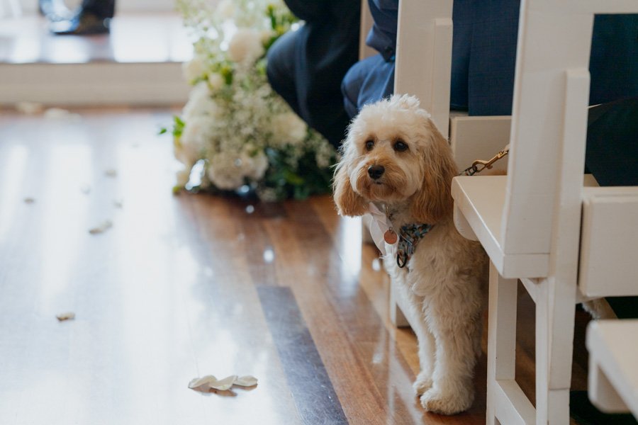 AngelaBrushePhotography_WEDDING_A&M_240926_SNEAKPEEKS-50.jpg