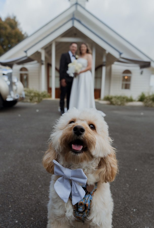 AngelaBrushePhotography_WEDDING_A&M_240926_SNEAKPEEKS-91.jpg