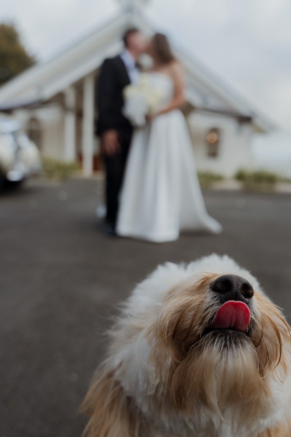 AngelaBrushePhotography_WEDDING_A&M_240926_SNEAKPEEKS-92.jpg