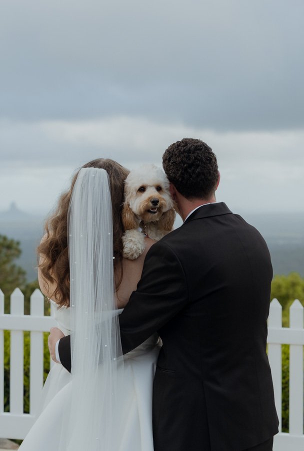 AngelaBrushePhotography_WEDDING_A&M_240926_SNEAKPEEKS-97.jpg