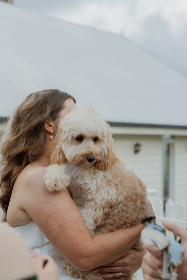 AngelaBrushePhotography_WEDDING_A&M_240926_SNEAKPEEKS-98.jpg