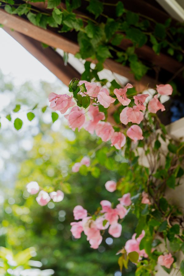 AngelaBrushePhotography_WEDDING_M&J_021026_SNEAKPEEKS-6.jpg