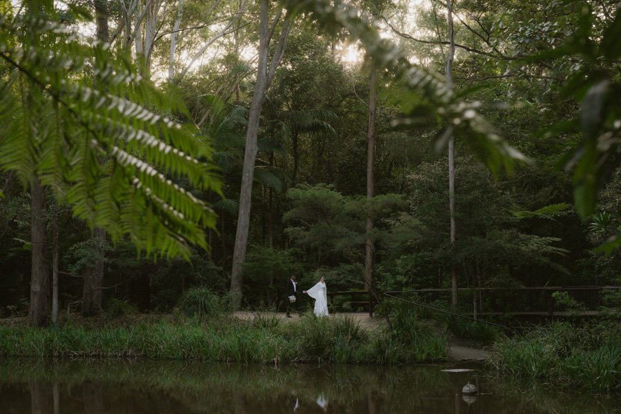 bride and groom in a landscape rainforest on the sunshine coast