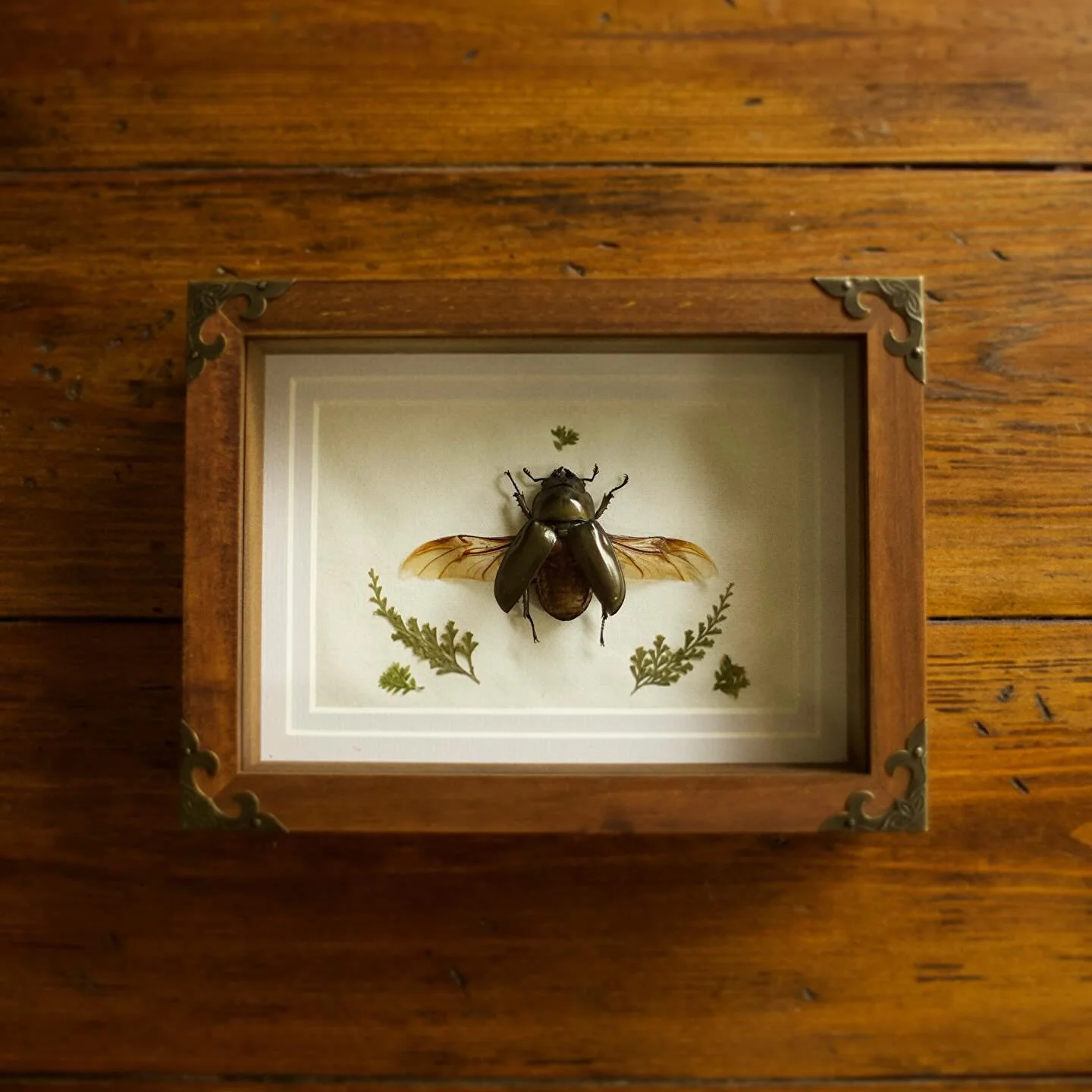 *SOLD*
been big into these wooden frames recently 🪲🖼️ 
i&rsquo;ve been working on some new pieces!! who&rsquo;s coming to the witch walk this Friday? 🦭🦭