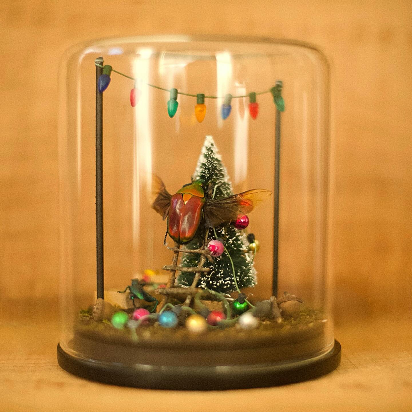 Are you kidding me, look how CUTE THIS IS 🎄🪲 
I&rsquo;ve been working on some new christmas themed dioramas for my holiday market this Saturday in Raleigh! 
come do some christmas shopping and snag this guy before he&rsquo;s gone 🪲🪲🤭

@MAKRS Hol