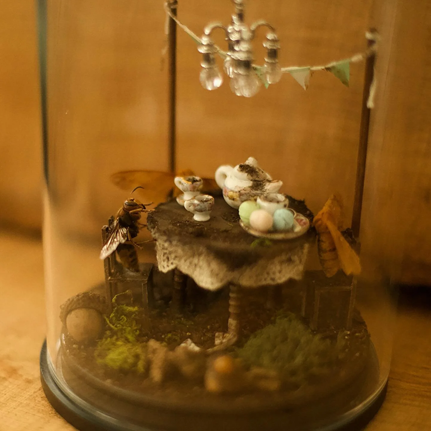 tea party alert!! should i give them little hats?
bringing these guys to my next market with me 🪲🐝🦋