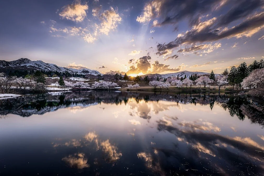 A serene lakeside scene at sunset with snow-capped mountains in the background, blooming cherry blossom trees along the shore, and a reflection of the sky and trees in the calm water.