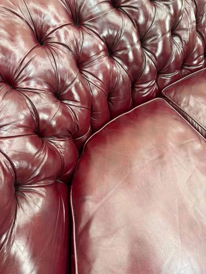 774242365_1786120012376687_5477653828018120397_n.jpg