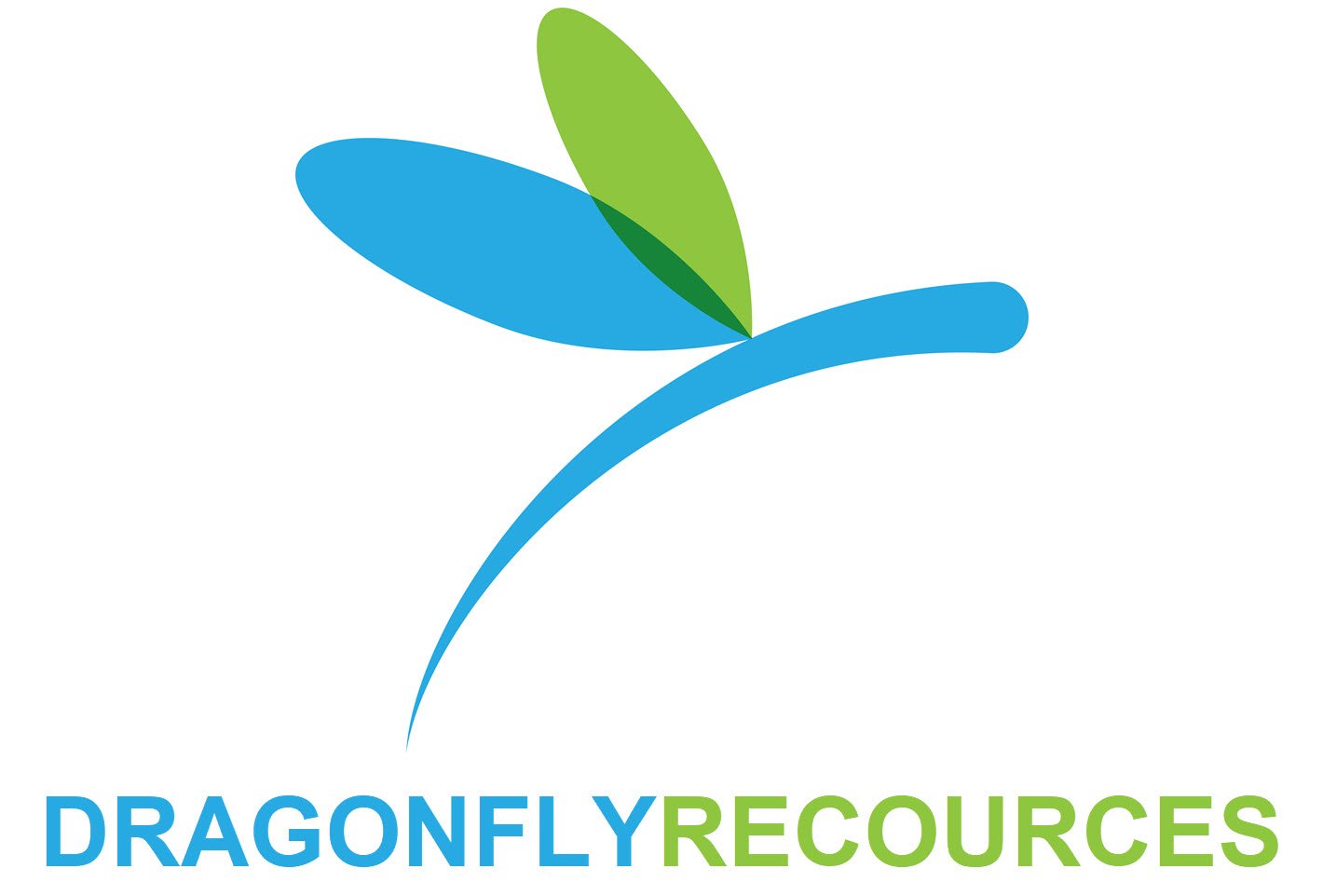 Dragonfly Resources