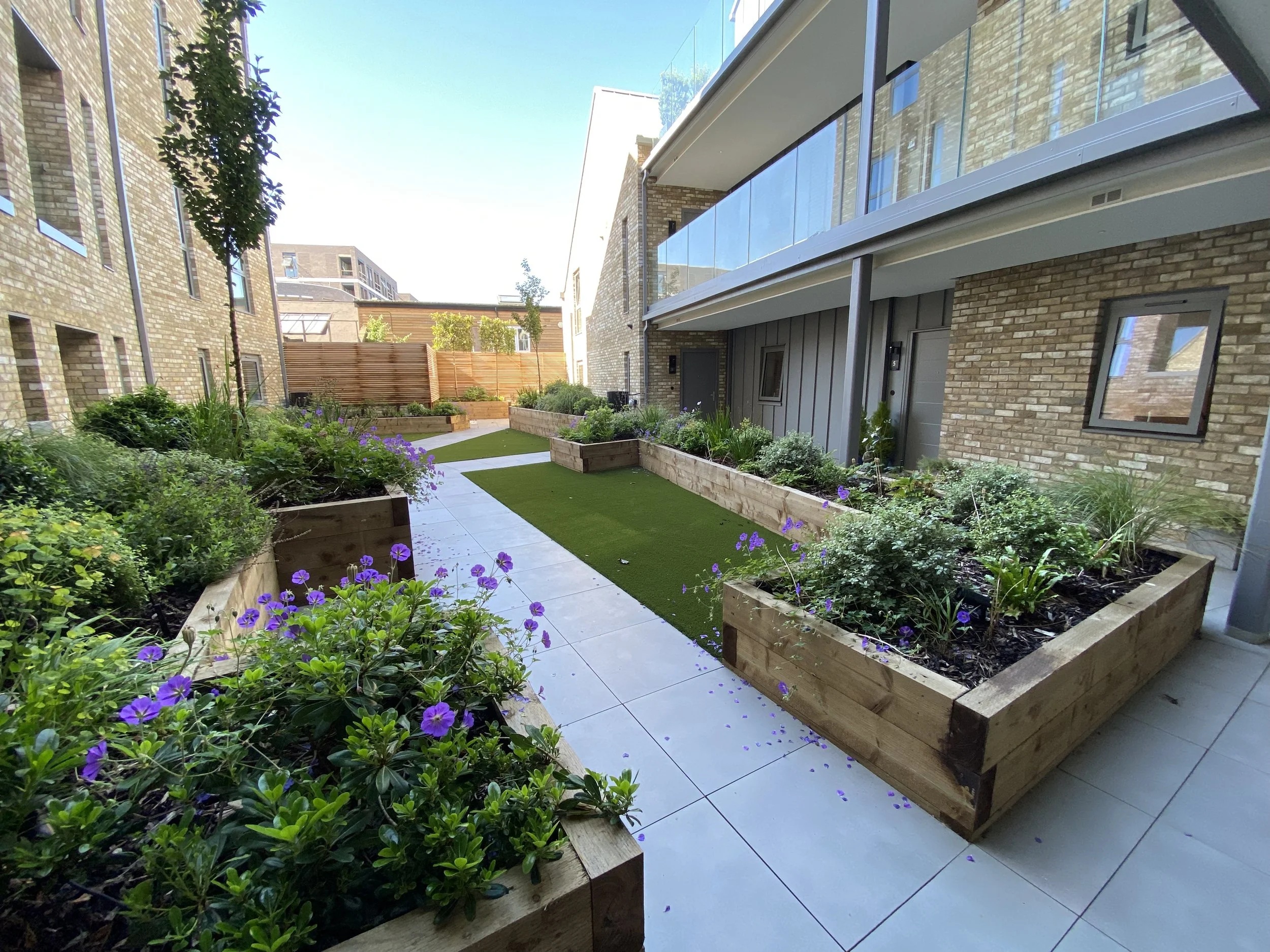 d.jpg