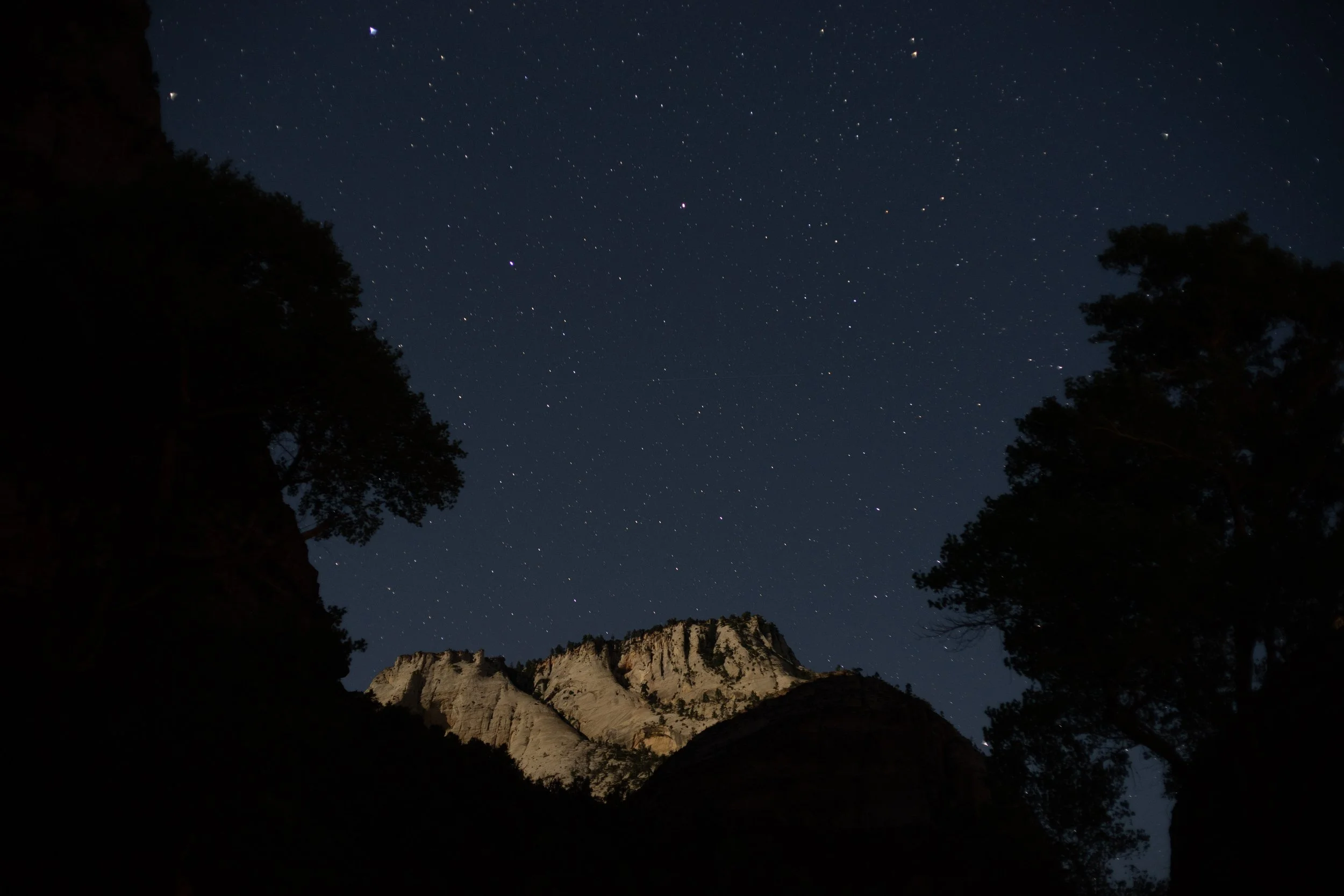 DSC00006.jpg