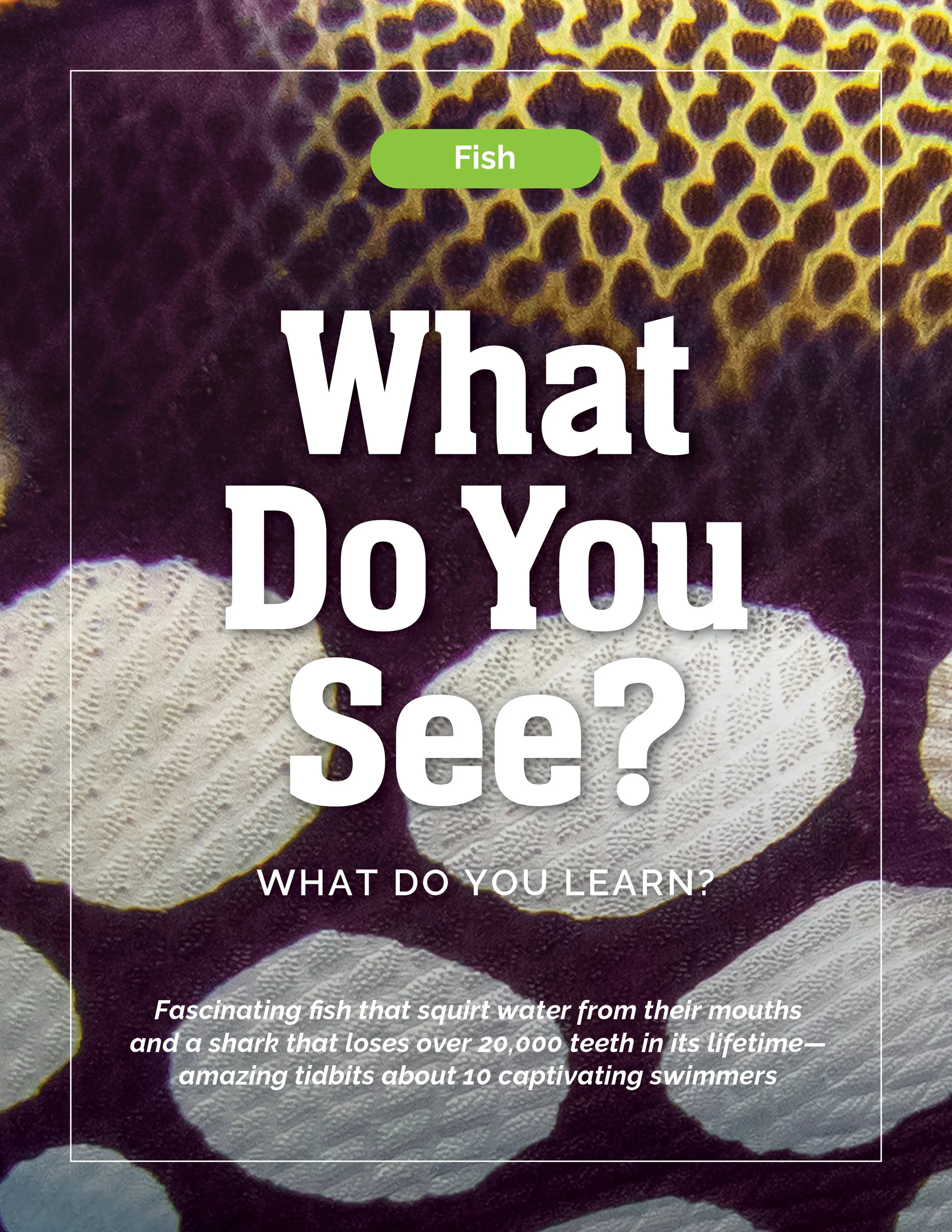 Fish, Triggerfish, What Do You See, What Do You Learn