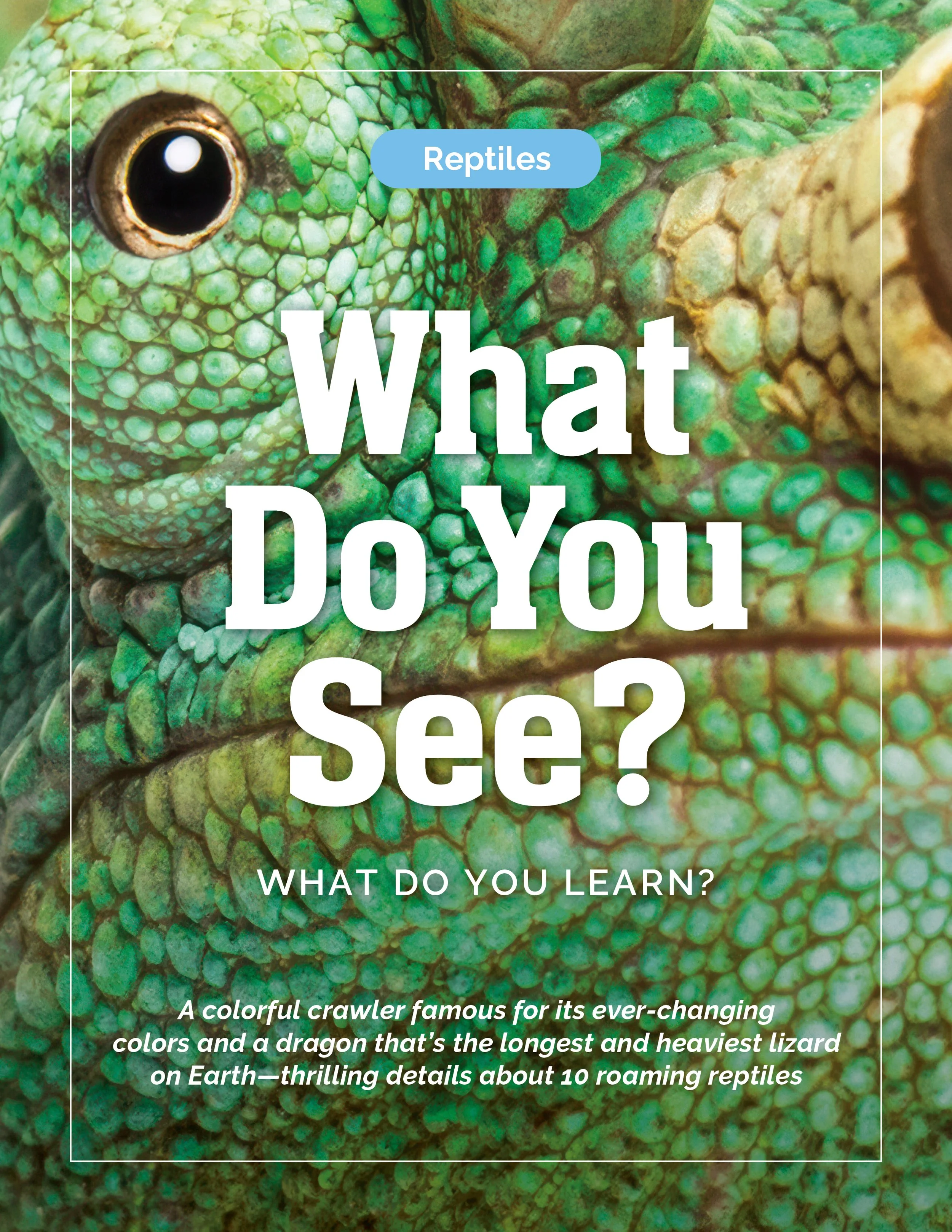 Reptile, Reptiles, Jackson's Chameleon, What Do You See,  What Do You Learn