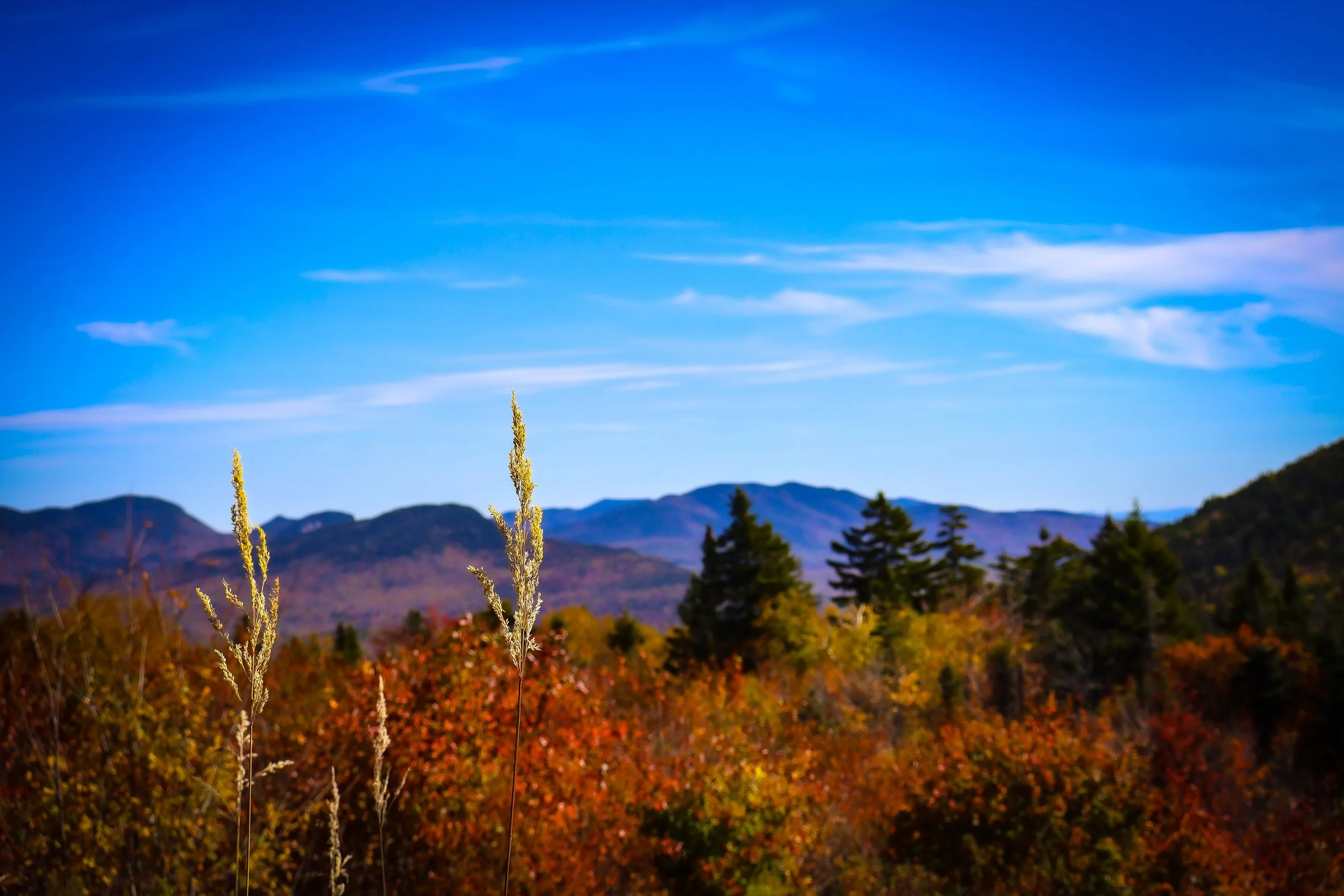 Another view from the Kancamagus Highway