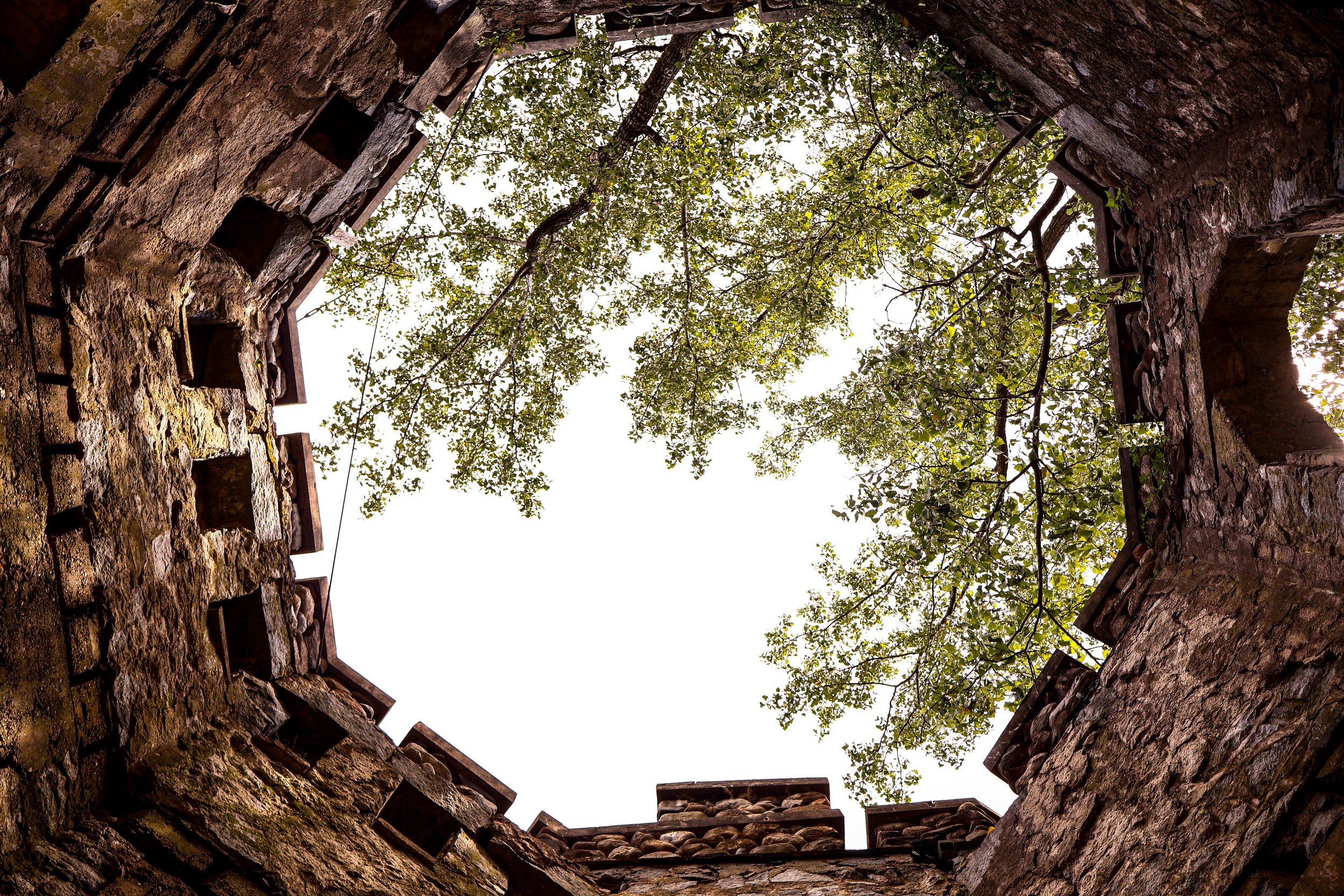 Out the top of the tower