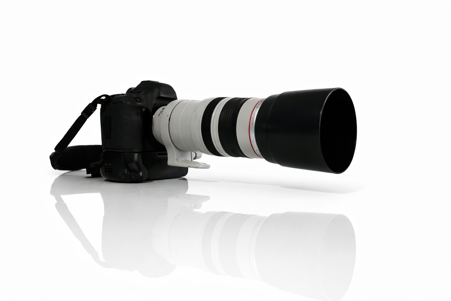 Canon EF 100-400mm
