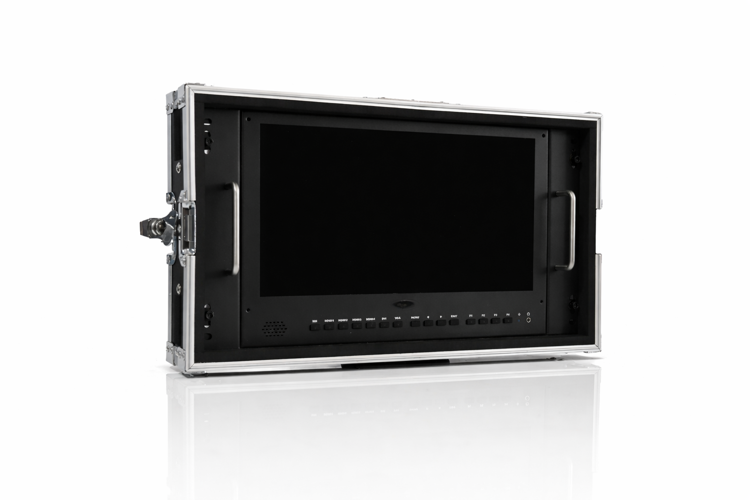 Professional Field Monitor in Protective Flight Case