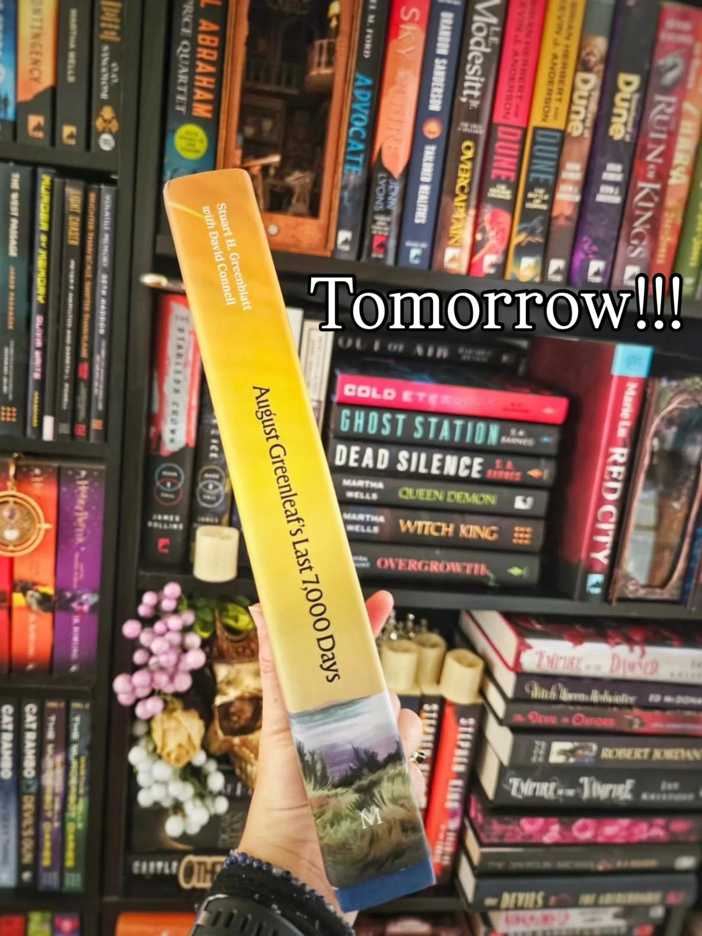 It&rsquo;s officially release week! Are you as excited as we are?! 

Special thanks to @therearenobadbooks for this amazing photo. ✨📖❤️