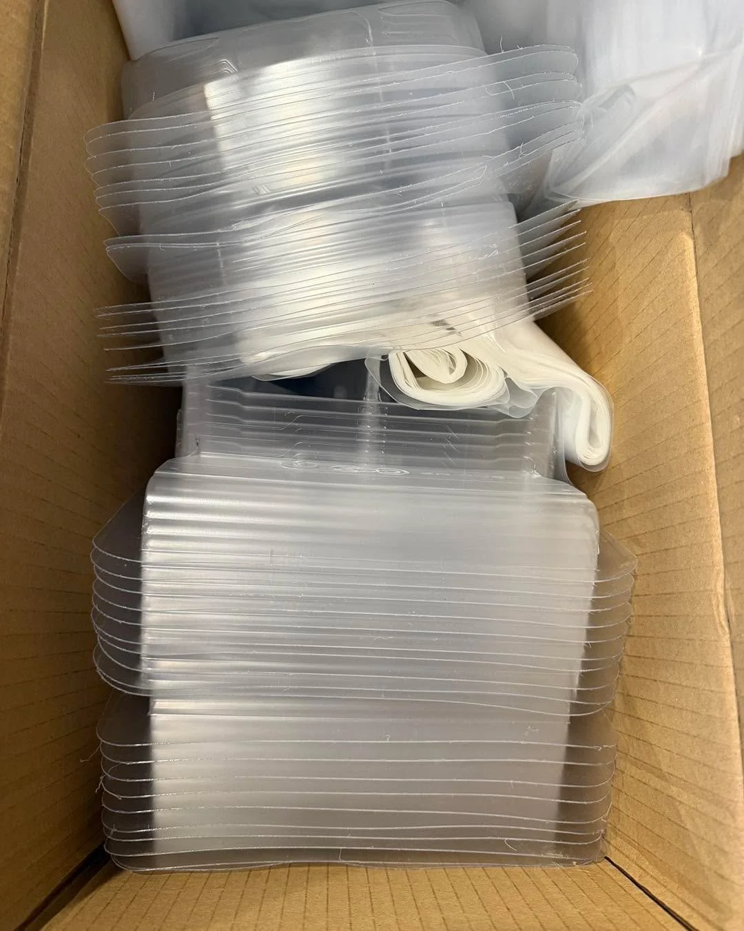 BIIIIIG shipment of ZooRacing Touring Car and LMH bodies just came in! Get &lsquo;em while they&rsquo;re HOT 🥵!
https://alshobbyshopindy.com/search?q=Zoora&amp;f_collectionId=690fe7df69055b425d826736