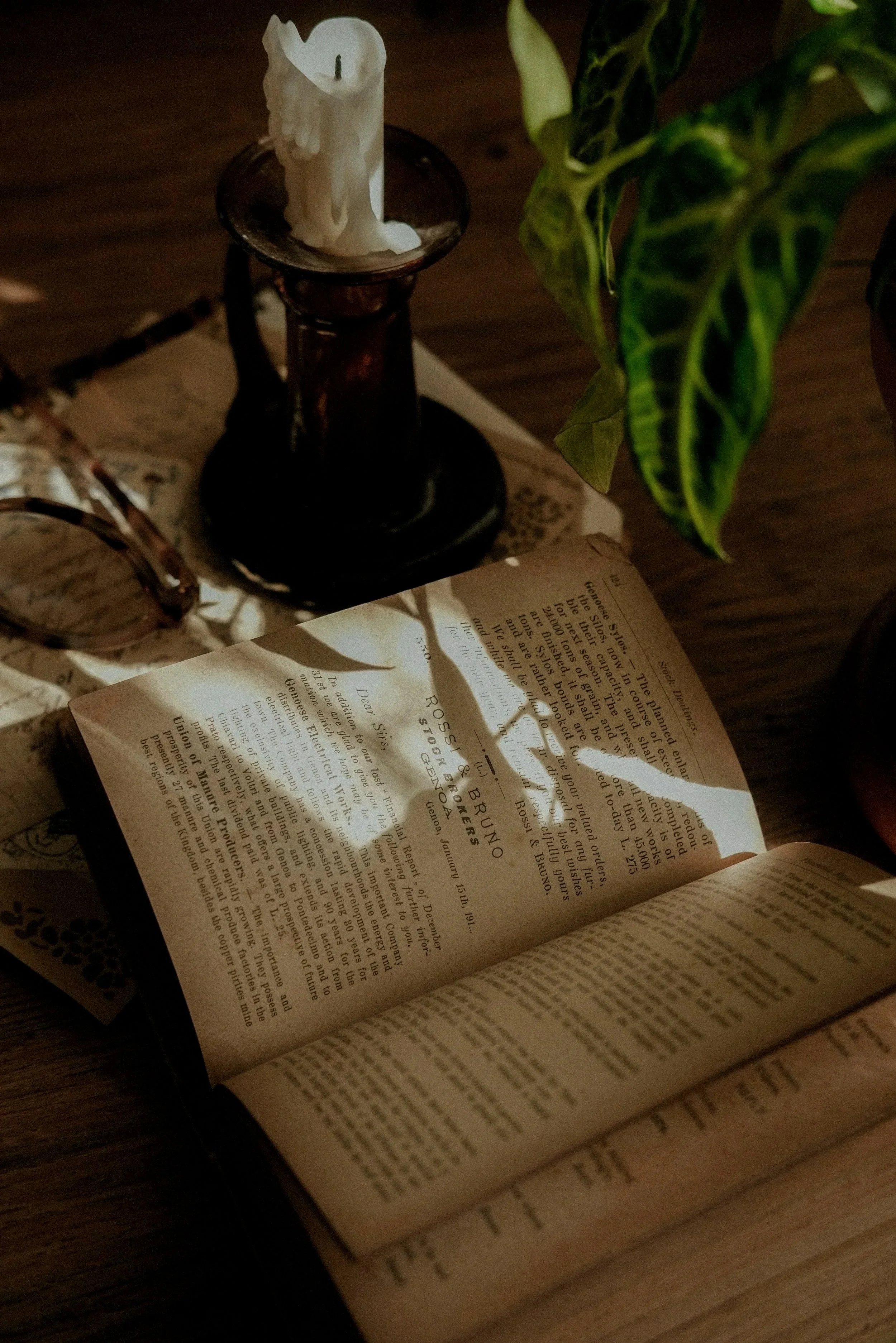 An open book on a wooden table with a lit candle on a candle holder beside it and a green leafy plant in the background.
