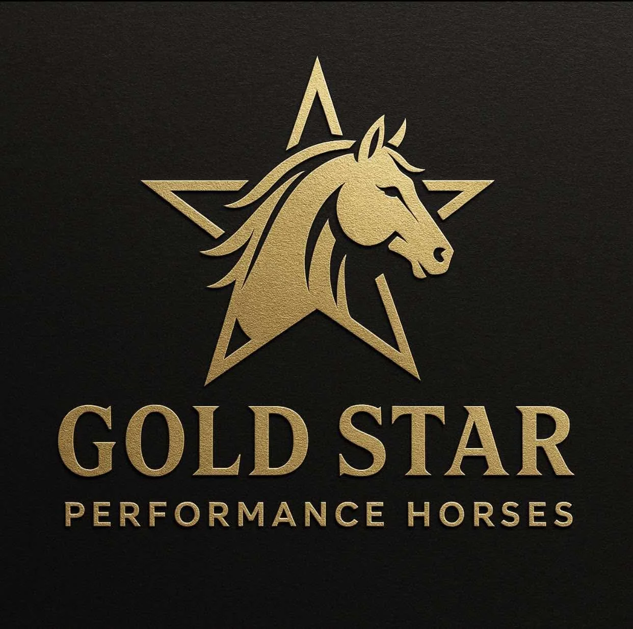 Performance Ability &amp; Beauty Starts Here