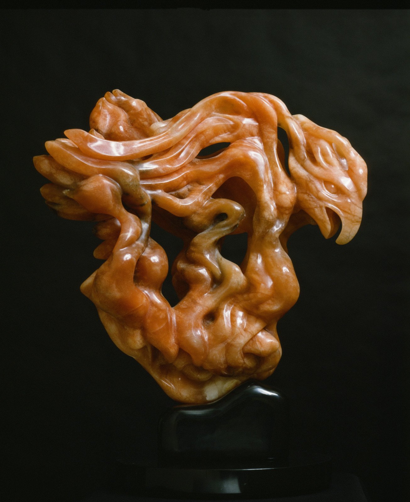 Robert Ortlieb, Firebird