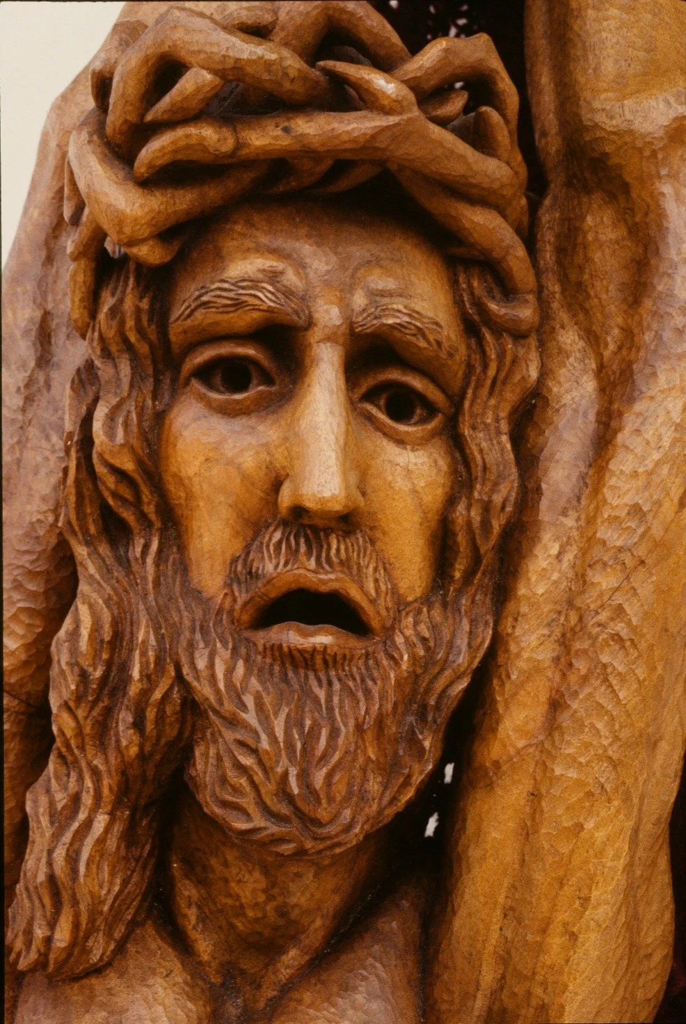 Robert Ortlieb sculpture, Forgive Them for They Know Not What They Do