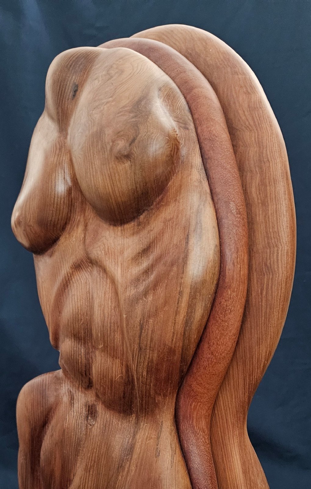 Robert Ortlieb sculpture, Interlude (side view), made of redwood burl wood.